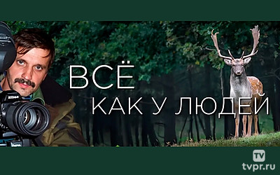 Всё как у людей