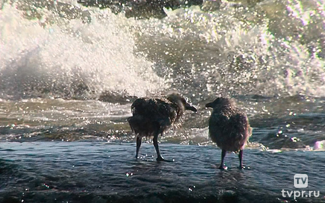 Моя неизвестная страна