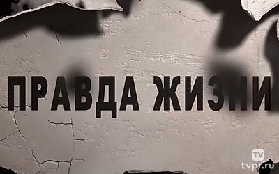 Правда жизни