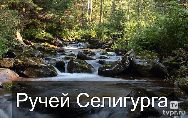 Ручей Селигурга