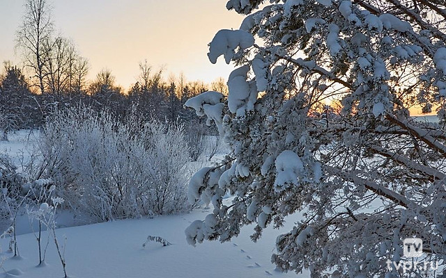 Морозный день