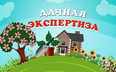 Дачная экспертиза