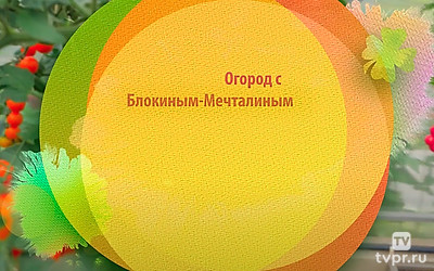 Огород с Блокиным-Мечталиным