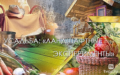 Ландшафтные эксперименты
