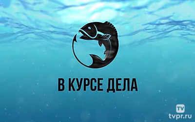 В курсе дела