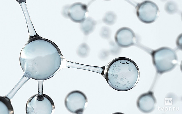 Гармония и хаос