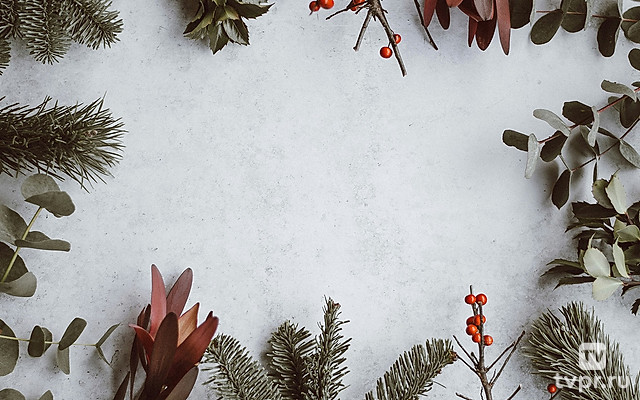 Рождественское поздравление от Рика и Денис Реннер