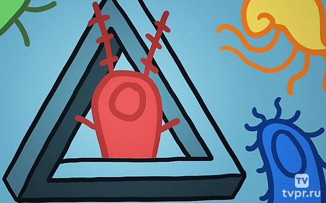 Парадокс планктона