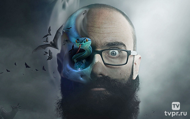 Поле разума