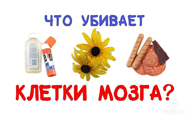 Что убивает клетки мозга?