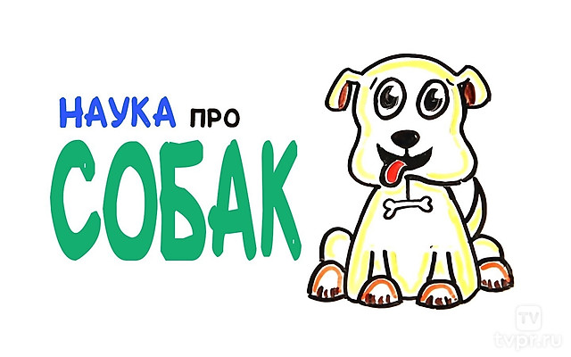 Научные факты о собаках