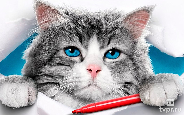 Девять жизней