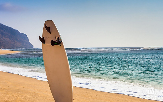 Сёрферы на колёсах: Новая Зеландия