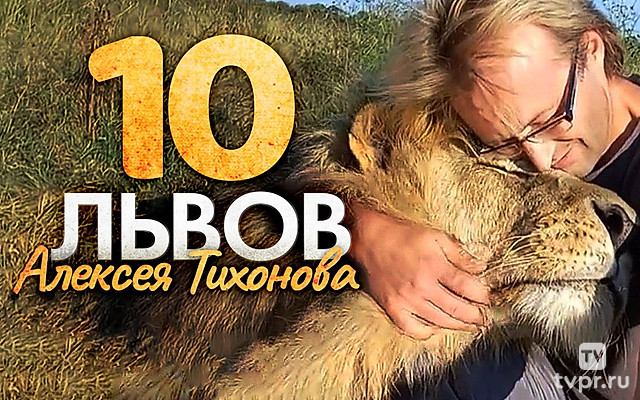 Десять львов Алексея Тихонова