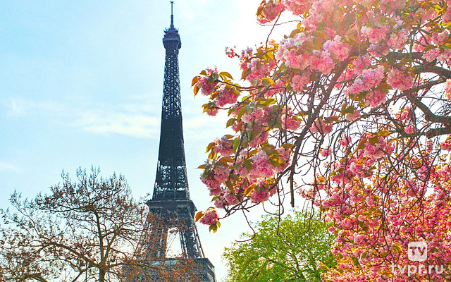 Любовь в Париже