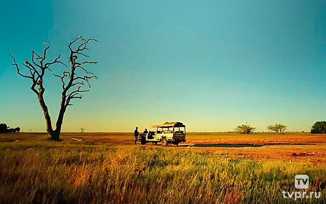 Дневник путешественника