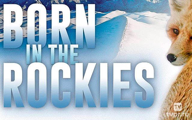 Рожденные в Скалистых горах