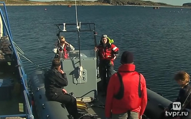 Мир согретого холода