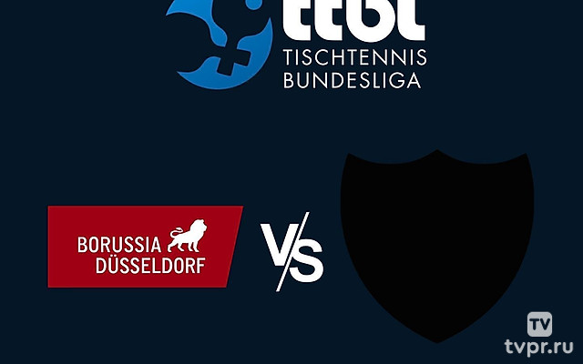 Настольный теннис. Бундеслига. Регулярный сезон 2024/25. 10 тур. Боруссия Дортмунд - Фульда-Маберцель