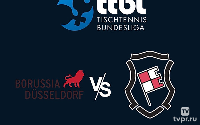 Настольный теннис. Бундеслига. Регулярный сезон 2024/25. 10 тур. Боруссия Дюссельдорф - Бад Кёнигсхофен