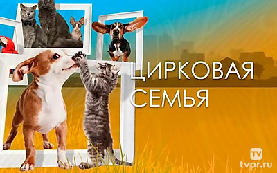 Цирковая семья
