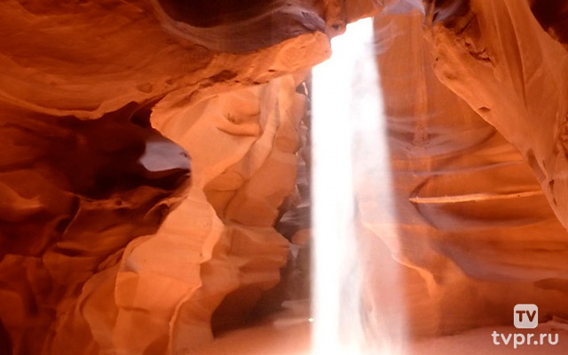 Чудеса природы