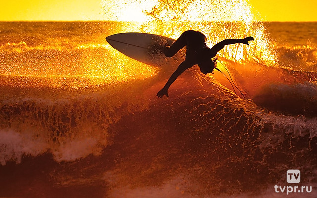 Я - сёрфер