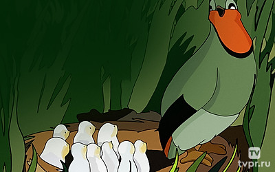 Оранжевое горлышко