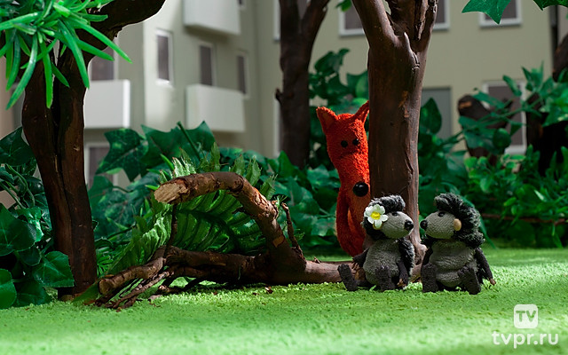 Ёжики в большом городе