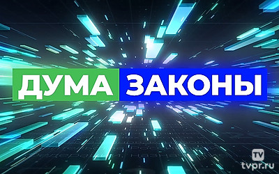 Дума. Законы