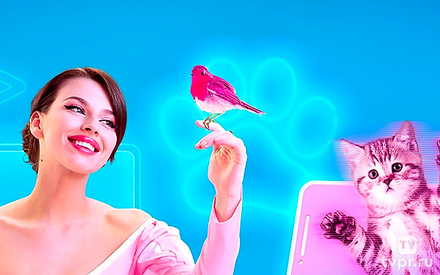 Клуб обаятельных животных