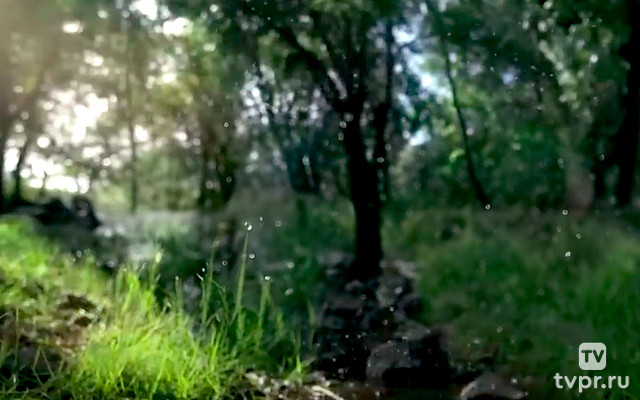 Из куколки в бабочку