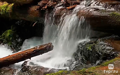 Водопады Пантер крик