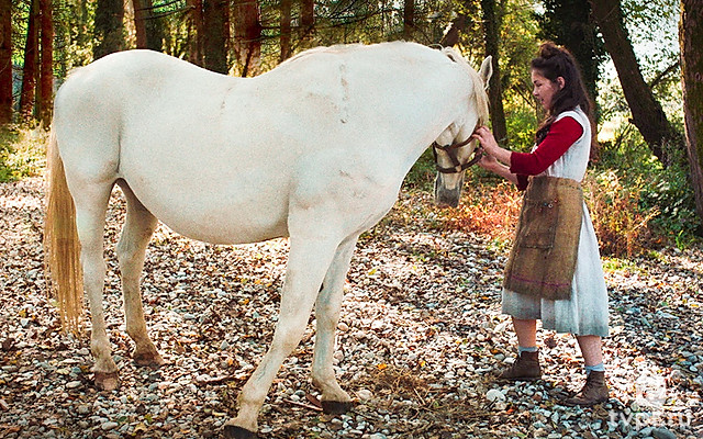 Альманах «Жизнь как чудо»