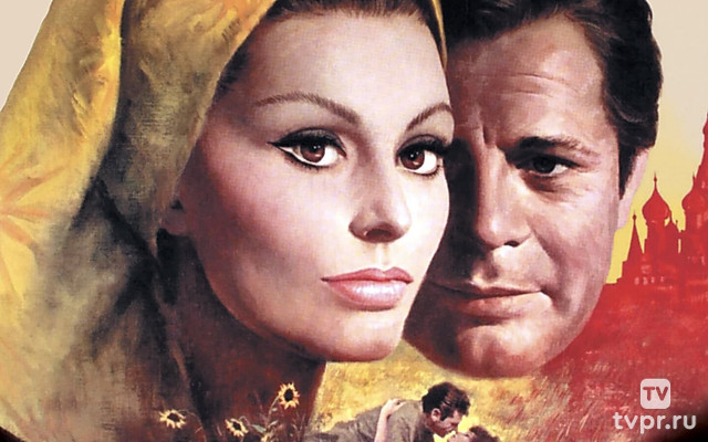 Подсолнухи