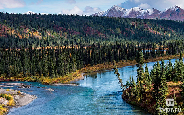 Тайга. Константин Удинцев