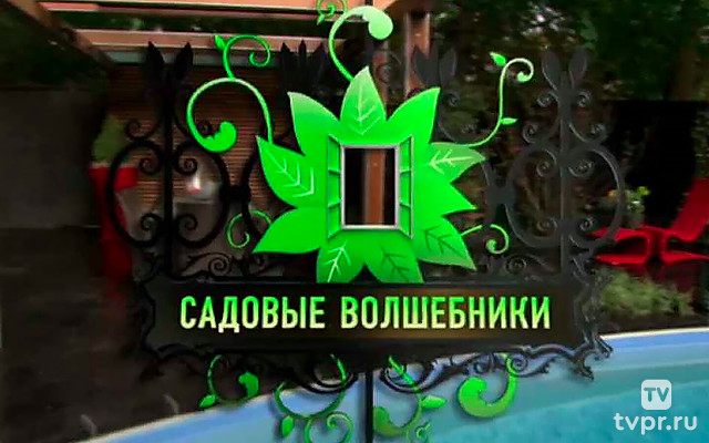 Садовые волшебники