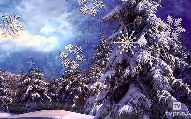 Зимняя сказка для взрослых