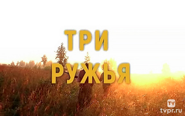 Три ружья