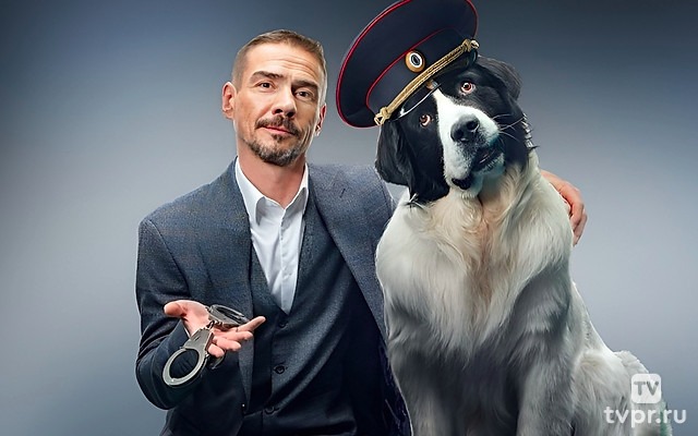 Пёс в законе