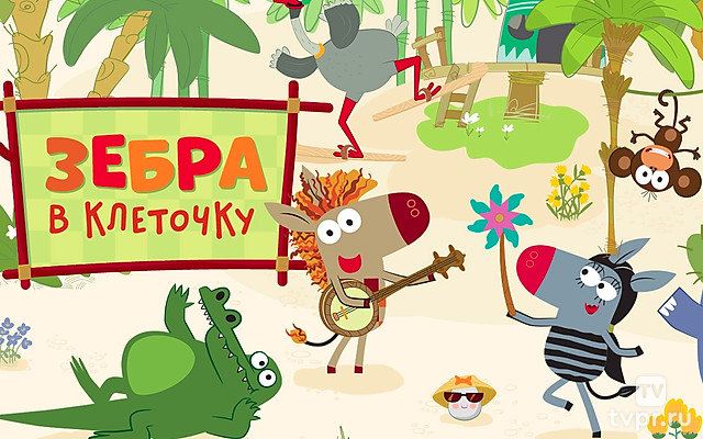 Зебра в клеточку. Яркие дни