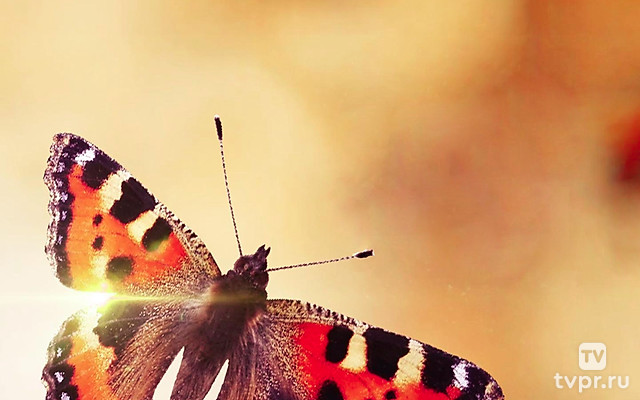 В поиcкaх Бога