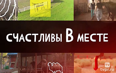 Счастливы в месте