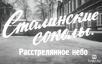 Сталинские соколы. Расстрелянное небо