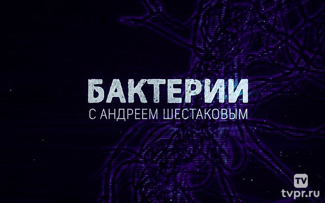 Бактерии. Гости или хозяева?