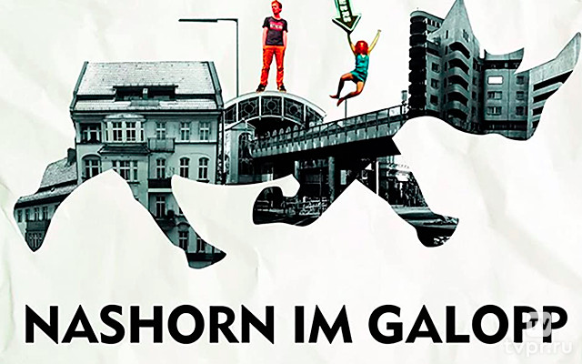 Стадо носорогов