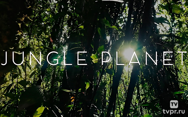 Life Awakens - Jungle Planet