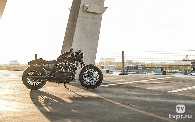 Чопперы. Прокатимся с ветерком