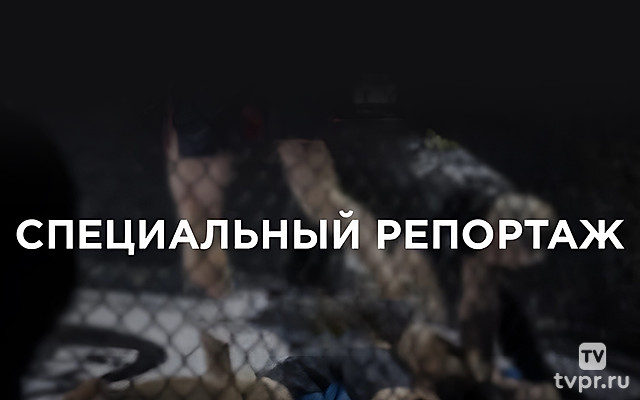 Специальный репортаж