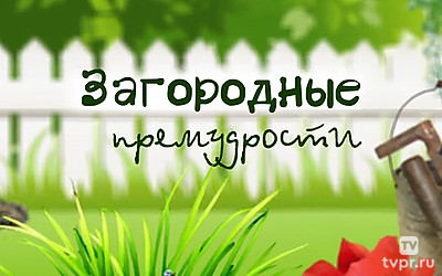 Загородные премудрости